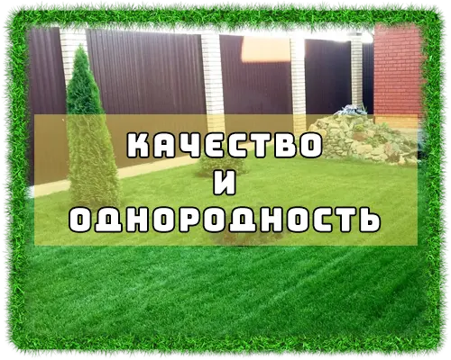 Рулонный газон в Волгодонске цена