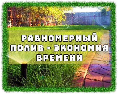 Автополив услуги цена